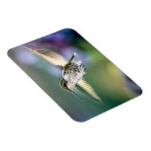 Hummingbird Flying Magneet (Rechterzijde)
