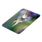 Hummingbird Flying Magneet (Linkerzijde)