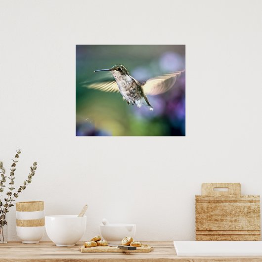 Hummingbird Flying Poster (Keuken)