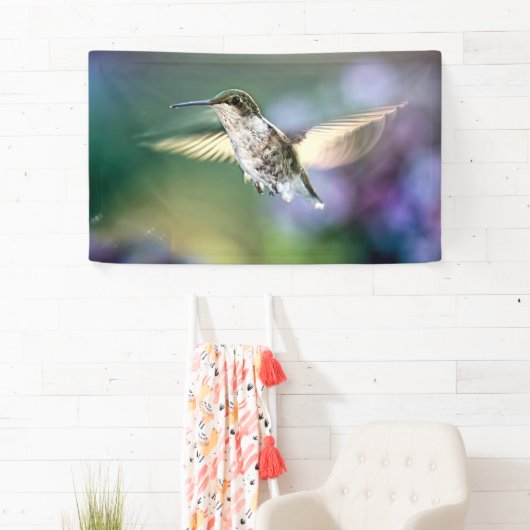 Hummingbird Flying Spandoek (Insitu)