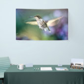 Hummingbird Flying Spandoek (Beurs)