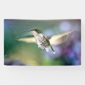 Hummingbird Flying Spandoek (Horizontaal)