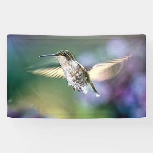 Hummingbird Flying Spandoek (Horizontaal)