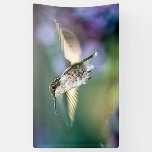 Hummingbird Flying Spandoek (Verticaal)
