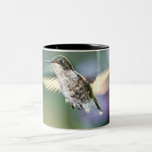 Hummingbird Flying Tweekleurige Koffiemok