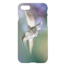 Hummingbird Flying