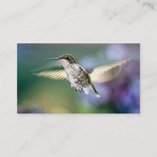 Hummingbird Flying Visitekaartje (Achterkant)