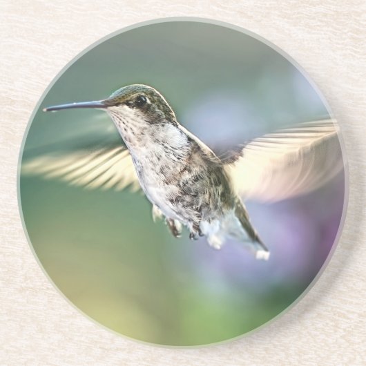 Hummingbird Flying Zandsteen Onderzetter (Voorkant)