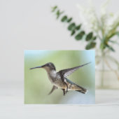 Hummingbird Foto Briefkaart (Staand voorkant)