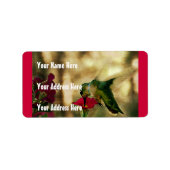 Hummingbird Foto Etiket (Voorkant)