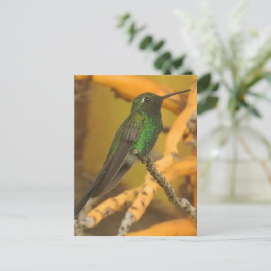 Hummingbird Fotografie Briefkaart (Staand voorkant)