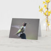 Hummingbird Frameable Art Kaart (Gele Bloem)