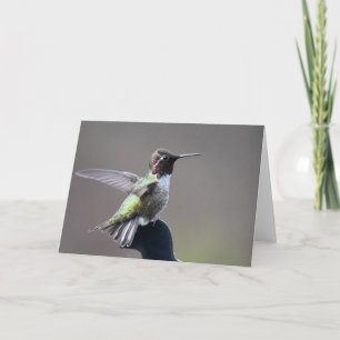 Hummingbird Frameable Art Kaart