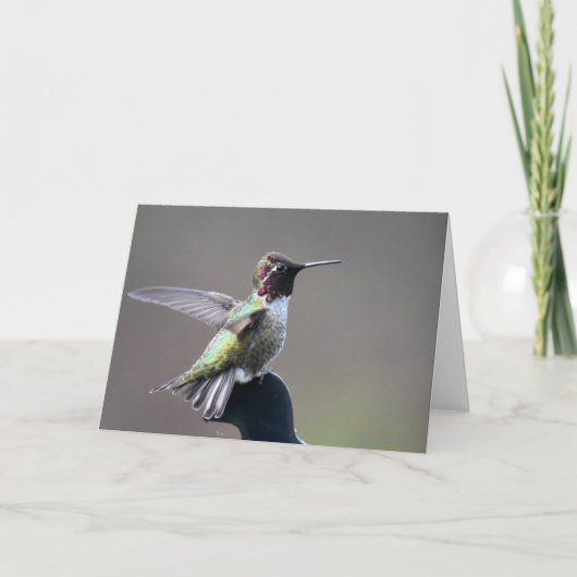 Hummingbird Frameable Art Kaart (Voorkant)