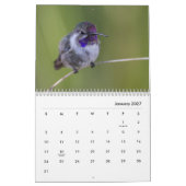 Hummingbird galore kalender (Jan 2027)