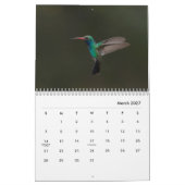Hummingbird galore kalender (Mar 2027)