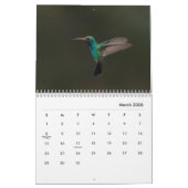 Hummingbird galore kalender (Mar 2026)