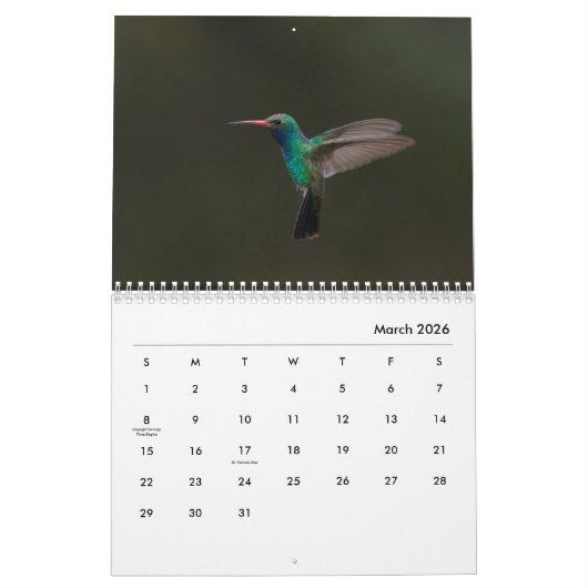 Hummingbird galore kalender (Mar 2026)