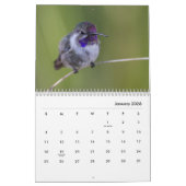Hummingbird galore kalender (Jan 2026)