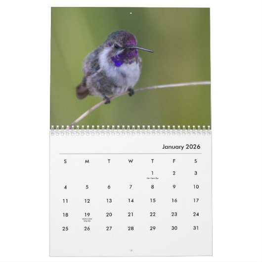Hummingbird galore kalender (Jan 2026)
