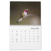 Hummingbird galore kalender (Feb 2026)