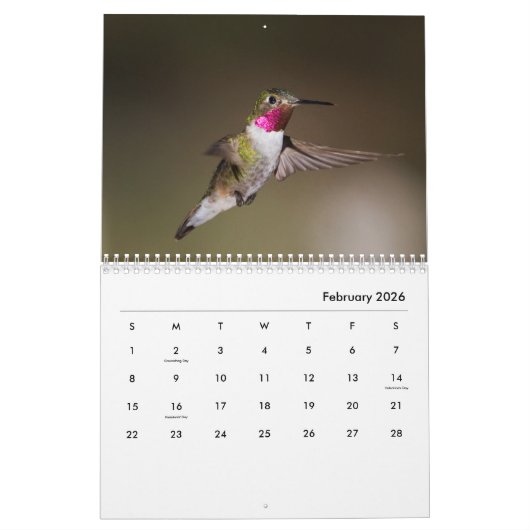 Hummingbird galore kalender (Feb 2026)