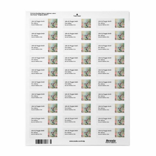 Hummingbird Garden Bird Wildlife Art Etiket (Full Sheet)