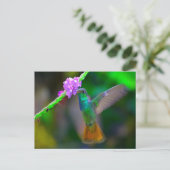 Hummingbird Garden Briefkaart (Staand voorkant)