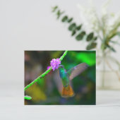 Hummingbird Garden Briefkaart (Staand voorkant)