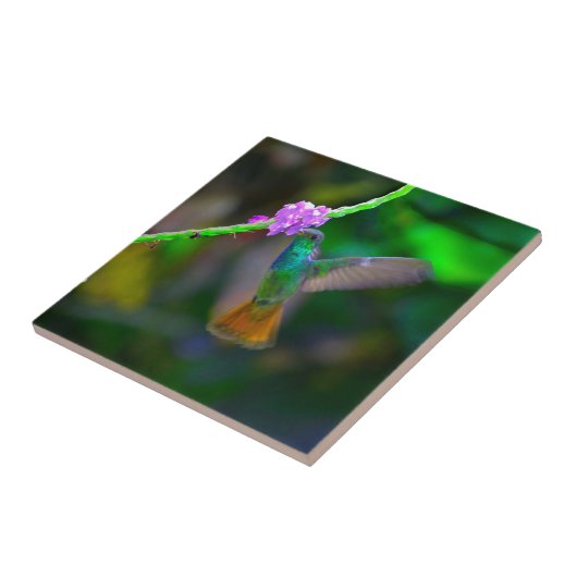 Hummingbird Garden Tegeltje (Zijkant)