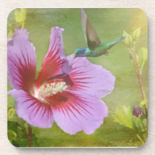 Hummingbird Gathering Nectar Plastic Onderzetters