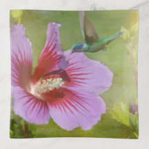 Hummingbird Gathering Nectar