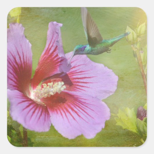 Hummingbird Gathering Nectar Stickers (Voorkant)