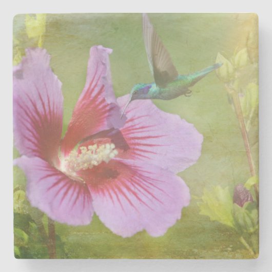Hummingbird Gathering Nectar Stone Onderzetter (Voorkant)