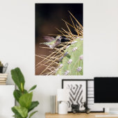 Hummingbird Gathering Nest Materie Poster (Thuiskantoor)