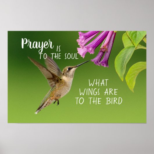 Hummingbird Gebed is voor de Ziel Poster (Voorkant)