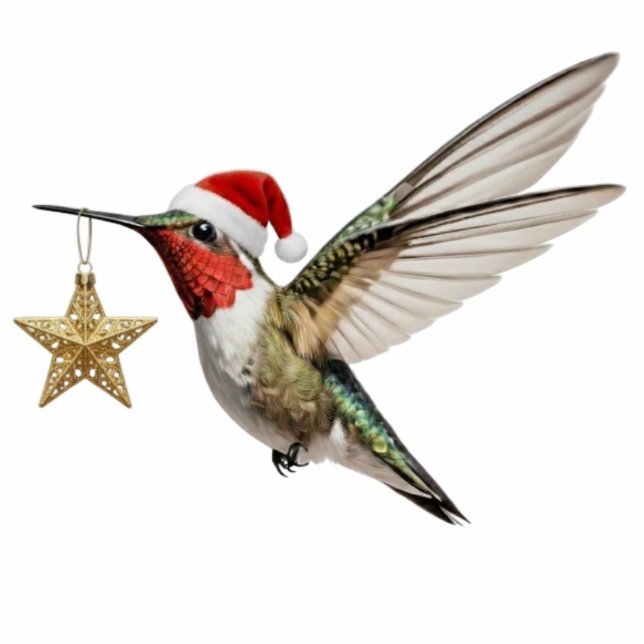 Hummingbird & Gold Star Bird Christmas Ornament Fotobeeldje Ornament (Voorkant)