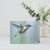 Hummingbird Green Flight Foto Wildlife Briefkaart (Staand voorkant)