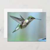 Hummingbird Green Flight Foto Wildlife Briefkaart (Voorkant / Achterkant)