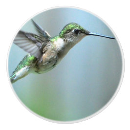 Hummingbird Green Flight Foto Wildlife Keramische Knop