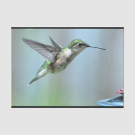 Hummingbird Green Flight Foto Wildlife Tissuepapier