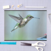 Hummingbird Green Flight Foto Wildlife Tissuepapier (Craft)