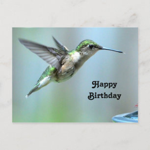 Hummingbird Green Flight Foto Wildlife Verjaardag Briefkaart