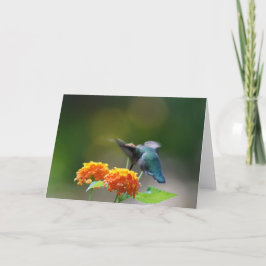 Hummingbird Greeting Kaart