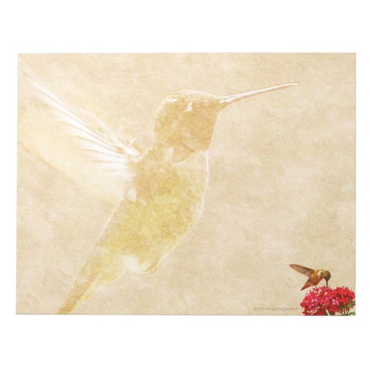 Hummingbird - GROOT Notitieblok/Memo Pad Notitieblok (Voorkant)