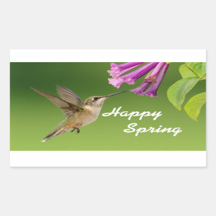 Hummingbird Happy Spring Rechthoekige Sticker