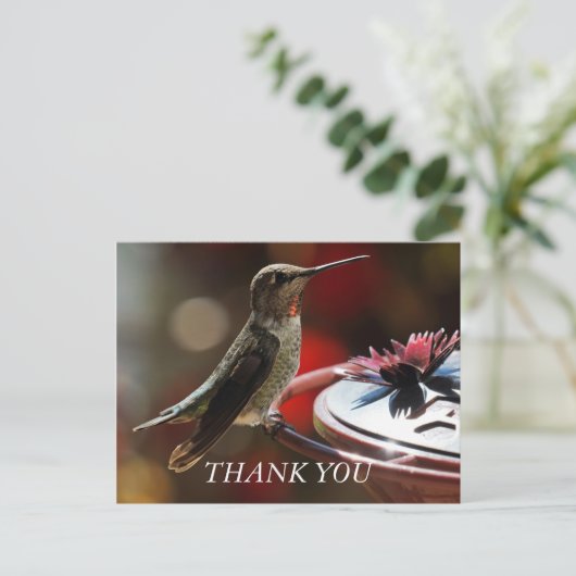 Hummingbird Hartelijk dank Briefkaart (Staand voorkant)