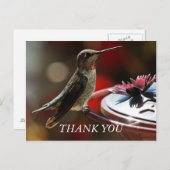 Hummingbird Hartelijk dank Briefkaart (Voorkant / Achterkant)