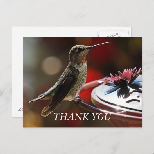 Hummingbird Hartelijk dank Briefkaart (Voorkant / Achterkant)