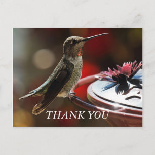 Hummingbird Hartelijk dank Briefkaart